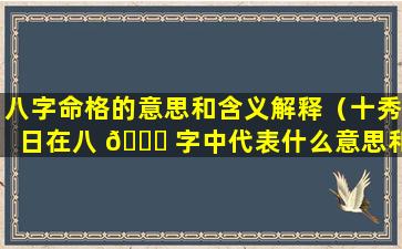 八字命格的意思和含义解释（十秀日在八 🕊 字中代表什么意思和 🐺 含义解释）